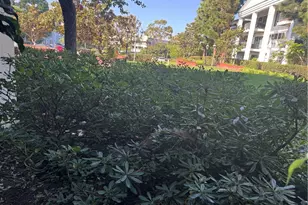 101 Scholz Plaza, Newport Beach, CA 92663 - Photo 3