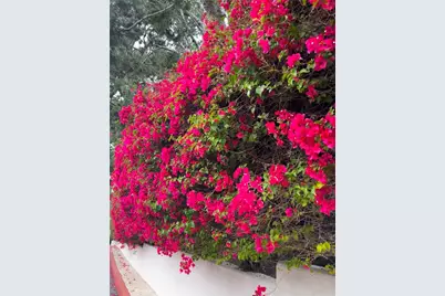 67 Sea Island Drive, Newport Beach, CA 92660 - Photo 41