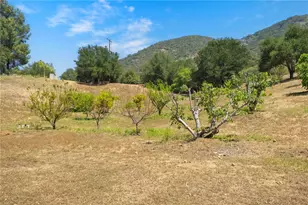 48980 De Luz Rd, Temecula, CA 92590 - Photo 45