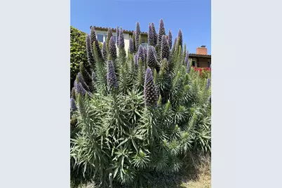 2000 Vista Cajon, Newport Beach, CA 92660 - Photo 35