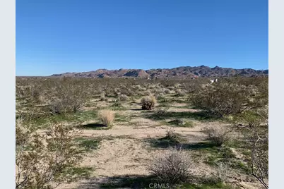 0 California Avenue, Joshua Tree, CA 92252 - Photo 5