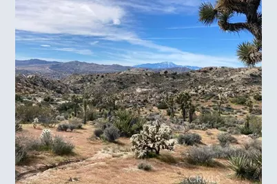 57296 Manzanita, Yucca Valley, CA 92284 - Photo 7