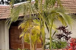 24182 Adonis, Mission Viejo, CA 92691 - Photo 3