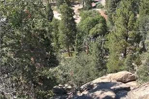 1 Deer Lick Dr, Running Springs, CA 92382 - Photo 1