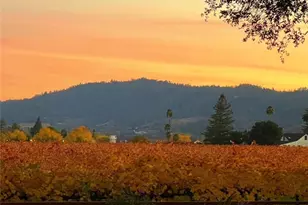 1125 Rutherford, Napa, CA 94558 - Photo 3