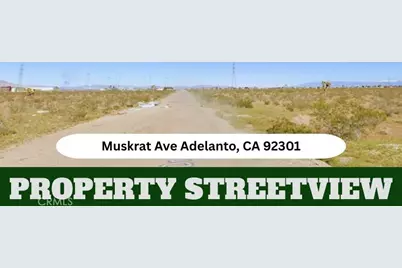 0 Muskrat, Adelanto, CA 92301 - Photo 9