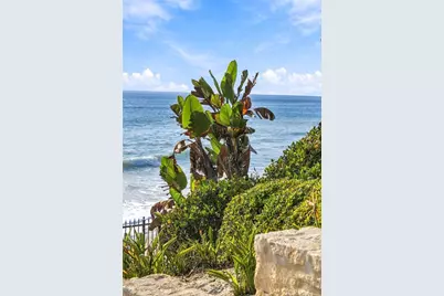 34126 Selva Road #299, Dana Point, CA 92629 - Photo 57