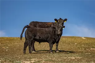 3160 Gillis Cyn Rd, Shandon, CA 93461 - Photo 15