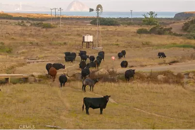 5010 Cabrillo, Cayucos, CA 93430 - Photo 37