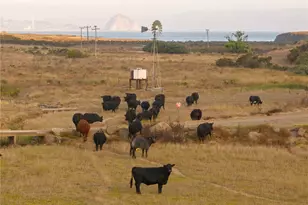 5010 Cabrillo, Cayucos, CA 93430 - Photo 37