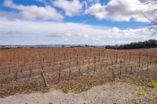 2135 Live Oak Rd, Paso Robles, CA 93446 - Photo 31