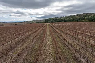 2135 Live Oak Rd, Paso Robles, CA 93446 - Photo 71