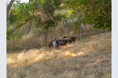 9480 Chimney Rock Road, Paso Robles, CA 93446 - Photo 65