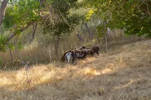 9480 Chimney Rock Rd, Paso Robles, CA 93446 - Photo 65