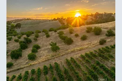9480 Chimney Rock Road, Paso Robles, CA 93446 - Photo 53