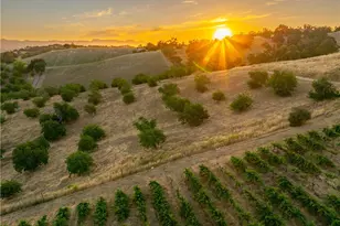 9480 Chimney Rock Rd, Paso Robles, CA 93446 - Photo 53