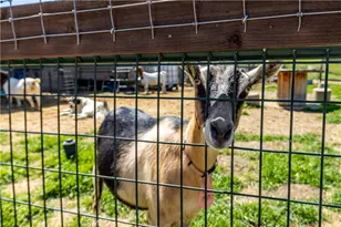 76870 Barker Rd, San Miguel, CA 93451 - Photo 47