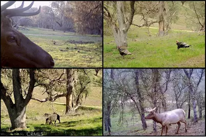 0 Gateway Drive, Paso Robles, CA 93446 - Photo 25