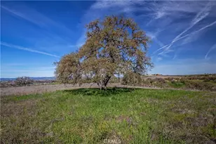 930 Windwood Rd, Paso Robles, CA 93446 - Photo 31