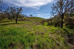 930 Windwood Rd, Paso Robles, CA 93446 - Photo 37