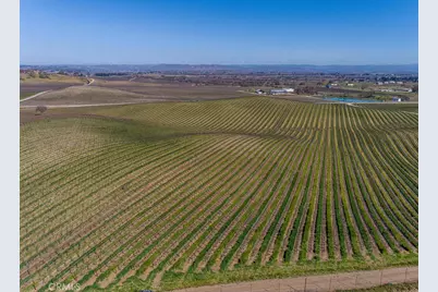 3925 Buena Vista Drive, Paso Robles, CA 93446 - Photo 9