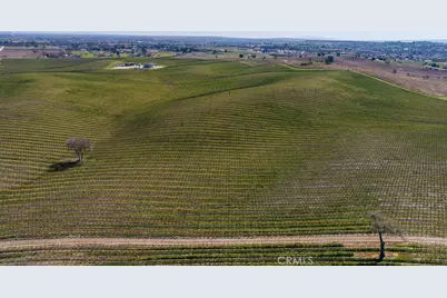 3925 Buena Vista Drive, Paso Robles, CA 93446 - Photo 13