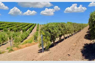 6320 Von Dollen Road, San Miguel, CA 93451 - Photo 27