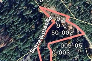 35 Sierra Buttes Rd, Sierra City, CA 96125 - Photo 37