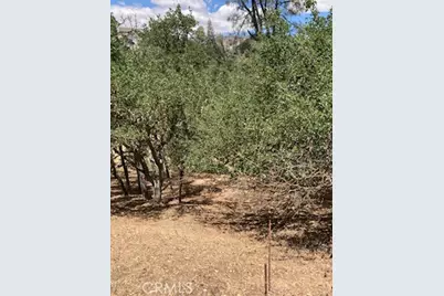 2668 Pine Ridge Road, Bradley, CA 93426 - Photo 3