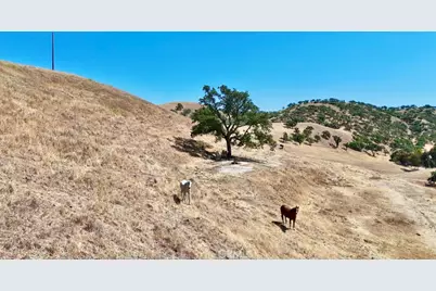 1924 Surrey Way, Paso Robles, CA 93446 - Photo 37