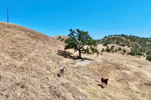 1924 Surrey Way, Paso Robles, CA 93446 - Photo 37