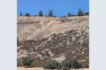 87577 Oak Street, Parkfield, CA 93451 - Photo 13