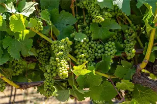 5502 Los Ranchos Rd, San Luis Obispo, CA 93401 - Photo 9