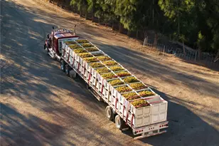 5502 Los Ranchos Rd, San Luis Obispo, CA 93401 - Photo 75