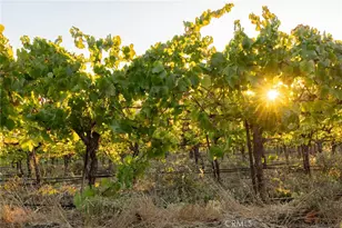 5502 Los Ranchos Rd, San Luis Obispo, CA 93401 - Photo 27