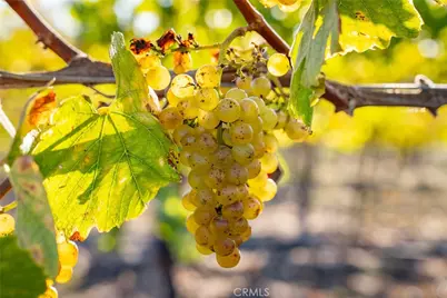 5502 Los Ranchos Road, San Luis Obispo, CA 93401 - Photo 69