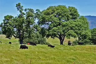 1420 W Pozo Rd, Santa Margarita, CA 93453 - Photo 75