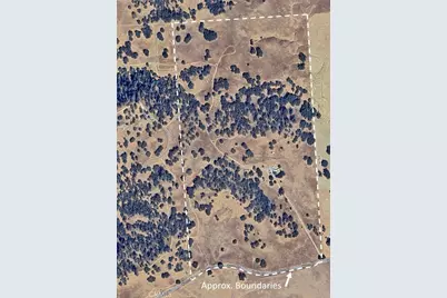 1420 W Pozo Road, Santa Margarita, CA 93453 - Photo 71