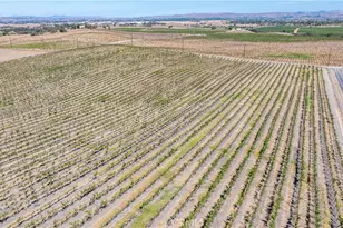 4825 Mill Rd, Paso Robles, CA 93446 - Photo 7