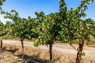 4825 Mill Rd, Paso Robles, CA 93446 - Photo 33