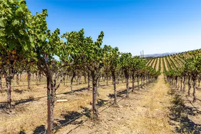 4825 Mill Road, Paso Robles, CA 93446 - Photo 35