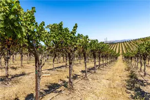 4825 Mill Rd, Paso Robles, CA 93446 - Photo 35