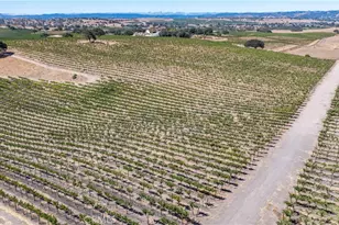 4825 Mill Rd, Paso Robles, CA 93446 - Photo 5