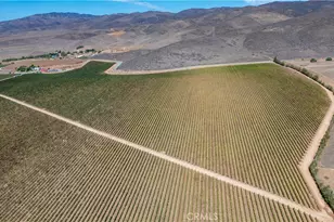 35095 Metz Rd, Soledad, CA 93960 - Photo 11