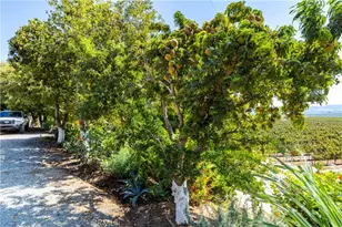 35095 Metz Rd, Soledad, CA 93960 - Photo 25