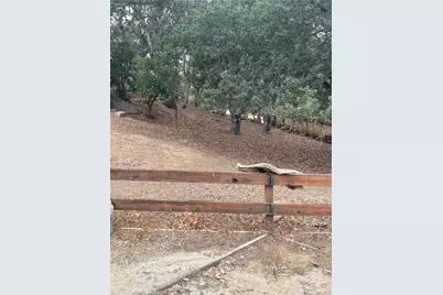 5003 Pretty Doe, Paso Robles, CA 93446 - Photo 3