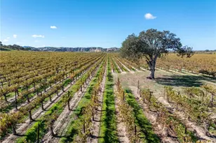 7790 Airport Rd, Paso Robles, CA 93446 - Photo 65