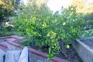 4125 Tranquilla, Atascadero, CA 93422 - Photo 19