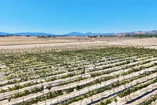 50645 Lockwood Rd, Lockwood, CA 93932 - Photo 45