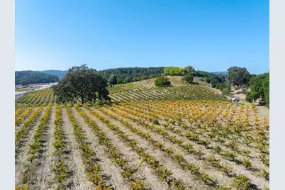 3750 W Highway 46, Templeton, CA 93465 - Photo 3